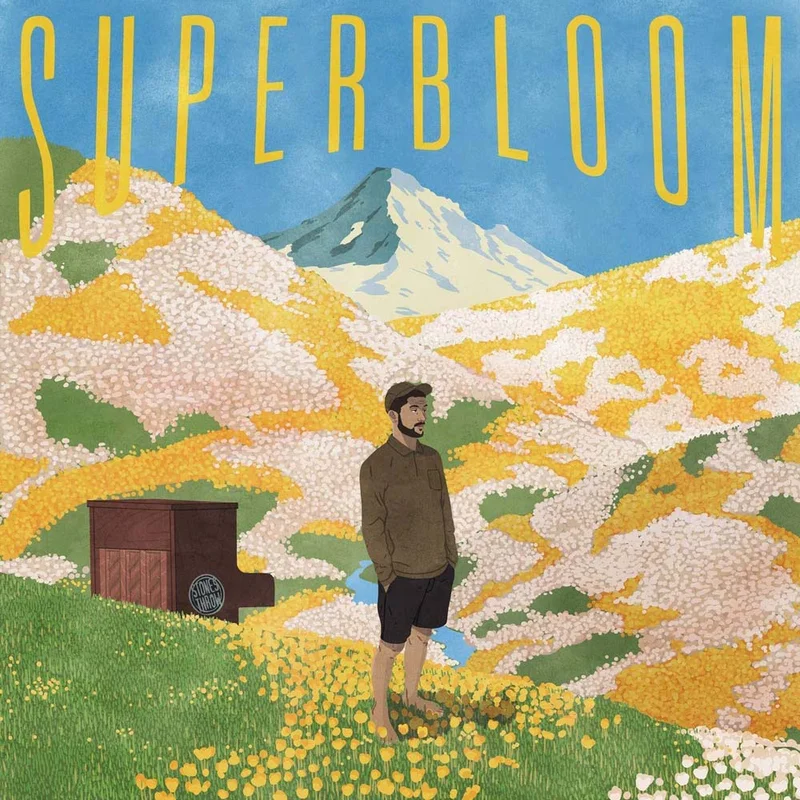 assai3083267