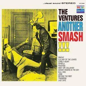 diversevinyl2495070