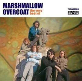 diversevinyl2505319