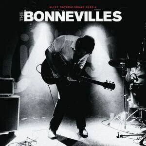 diversevinyl2514875
