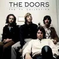diversevinyl2515616