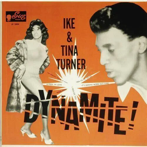 diversevinyl2537295