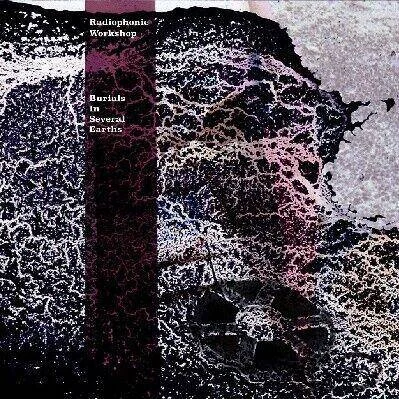 diversevinyl2577003