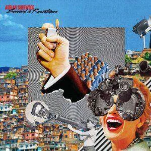 diversevinyl2598628