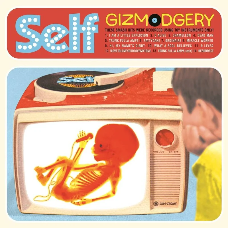 diversevinyl2607978