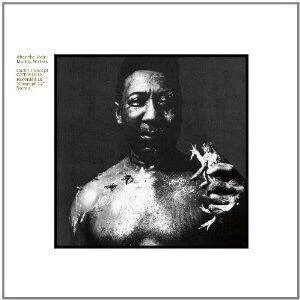 diversevinyl2619549