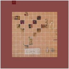 diversevinyl2625784
