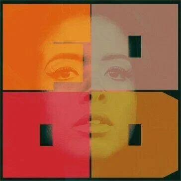 diversevinyl2631824