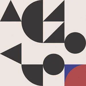 diversevinyl2636179