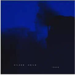 diversevinyl2679952