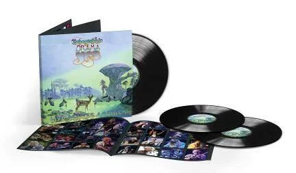 diversevinyl2696651
