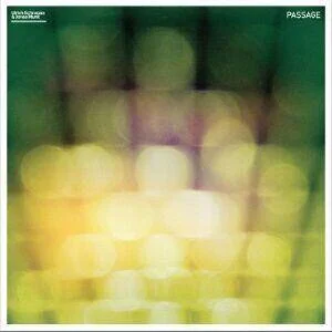 diversevinyl2704942