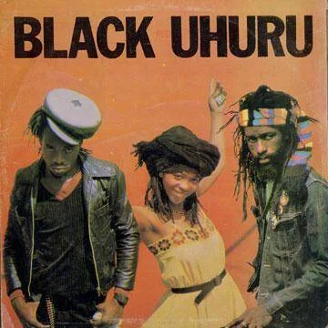 diversevinyl2813381