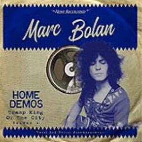 diversevinyl2830852