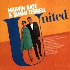 diversevinyl2836495