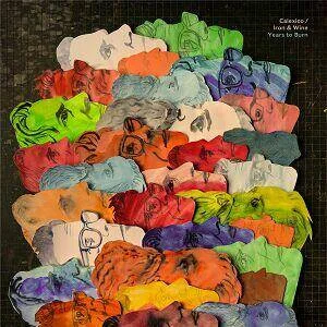 diversevinyl2841723