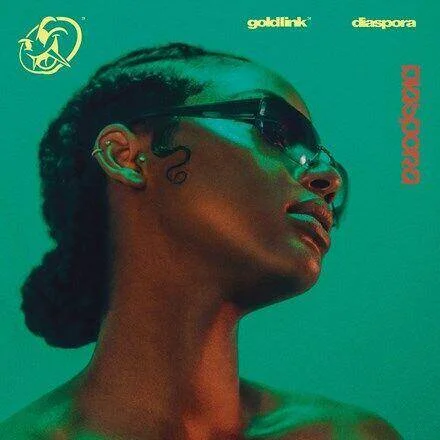 diversevinyl2843439