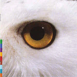 diversevinyl2860317