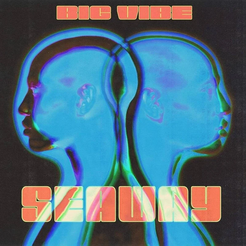 diversevinyl2894086