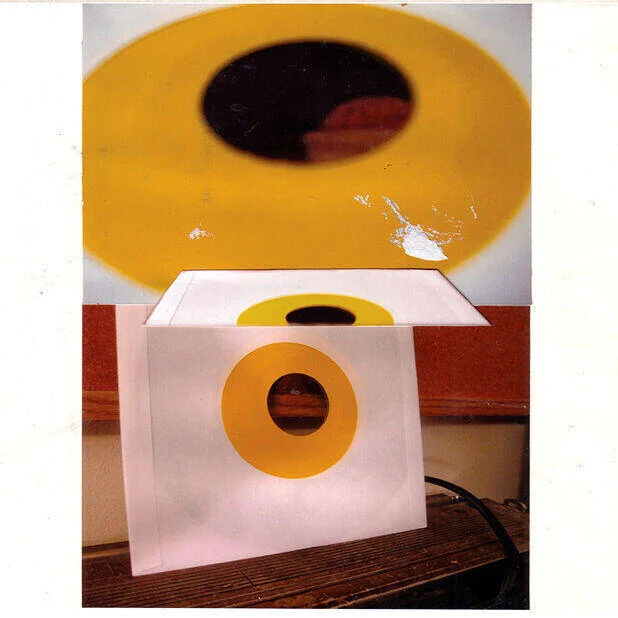 diversevinyl2903208