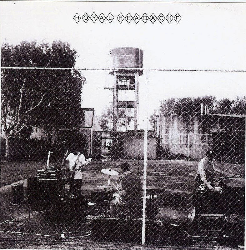 diversevinyl2917721