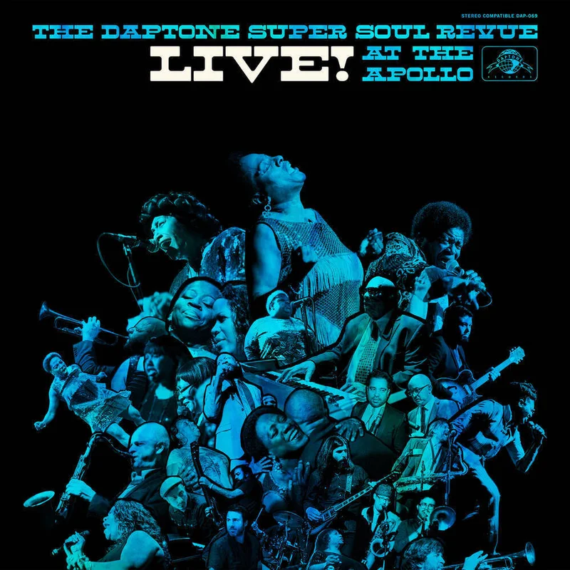 diversevinyl2940582
