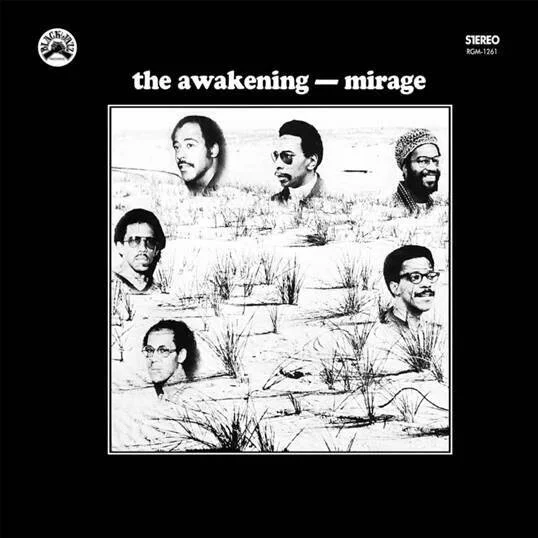diversevinyl2943874