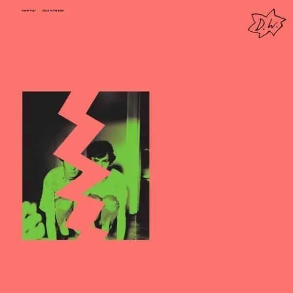 diversevinyl2963911