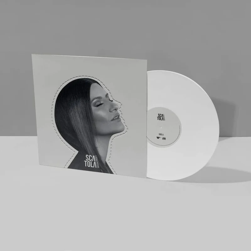 diversevinyl2972596