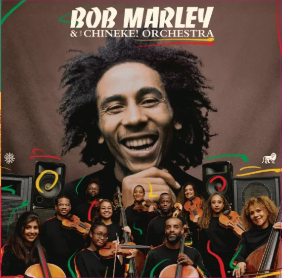diversevinyl2980801