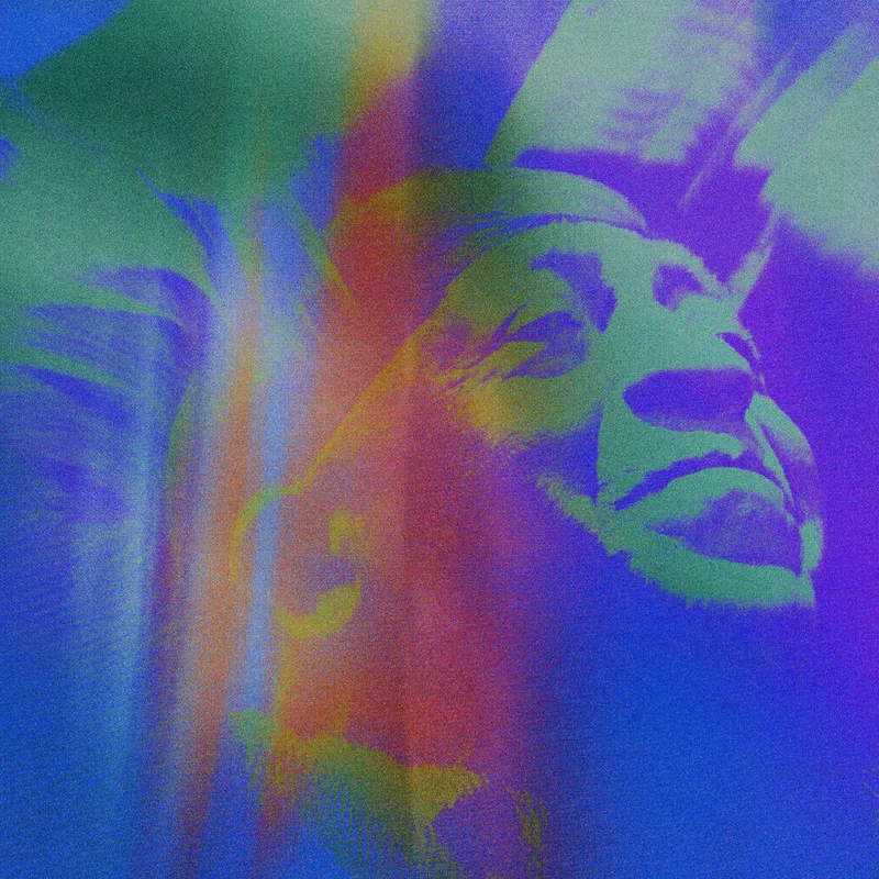 diversevinyl2981438