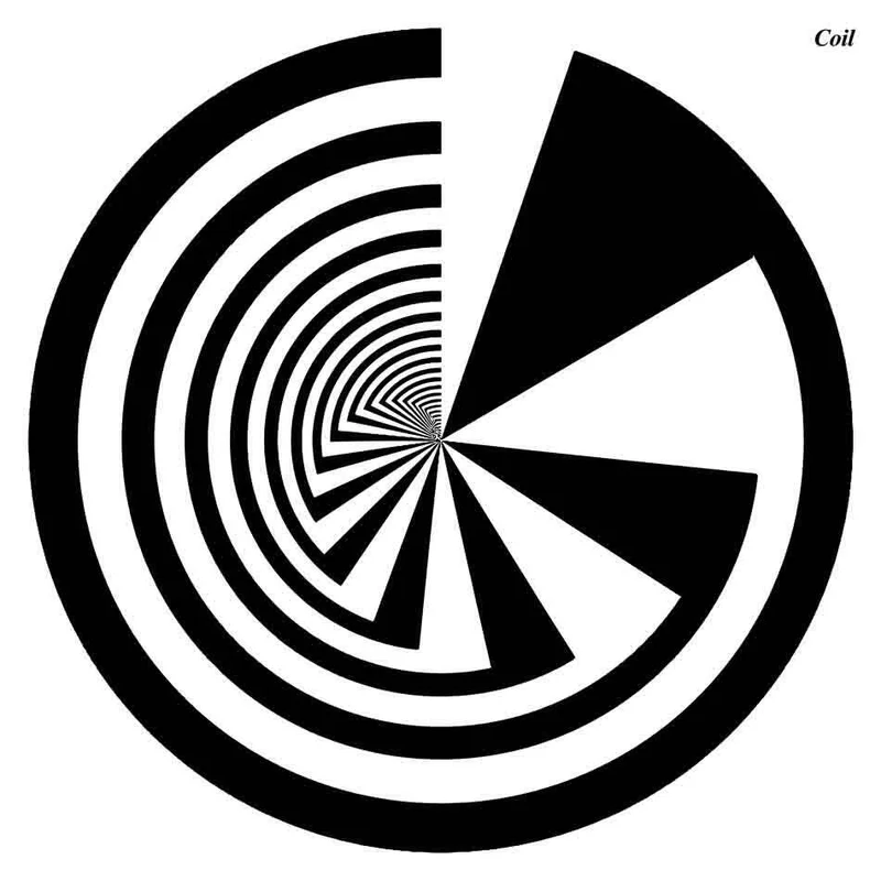 diversevinyl3004199