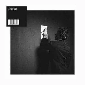 diversevinyl3005789