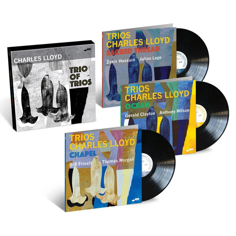 diversevinyl3026339