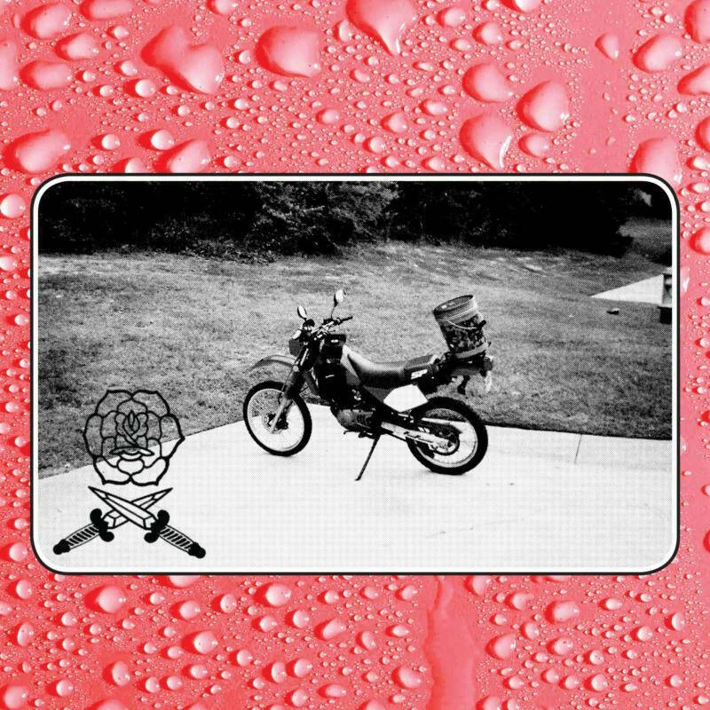 diversevinyl3027131
