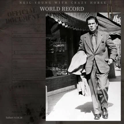 diversevinyl3027965