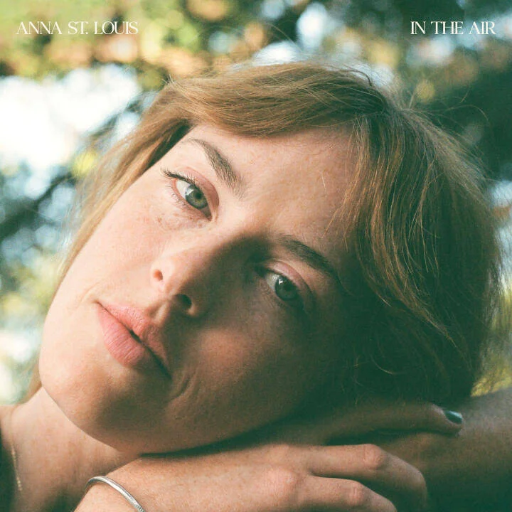 diversevinyl3070294