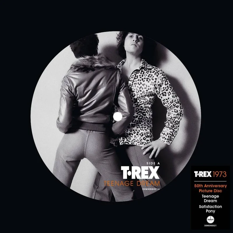 diversevinyl3082445