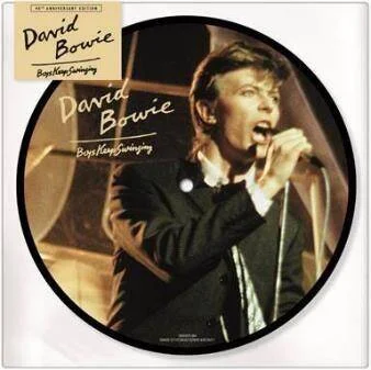 diversevinyl3105473