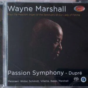 diversevinyl3116612