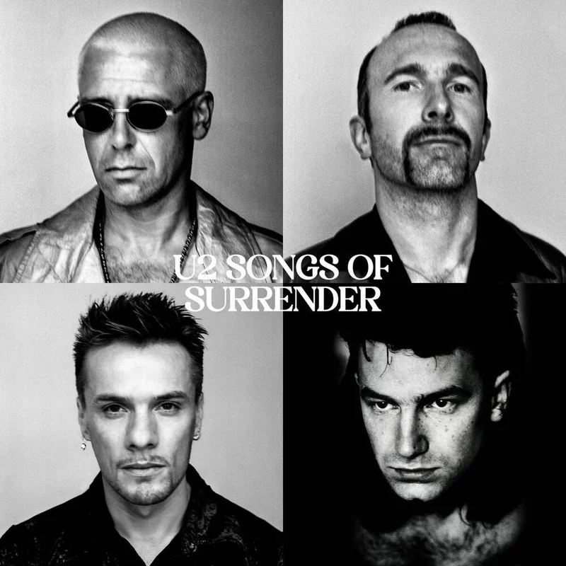 diversevinyl3117067