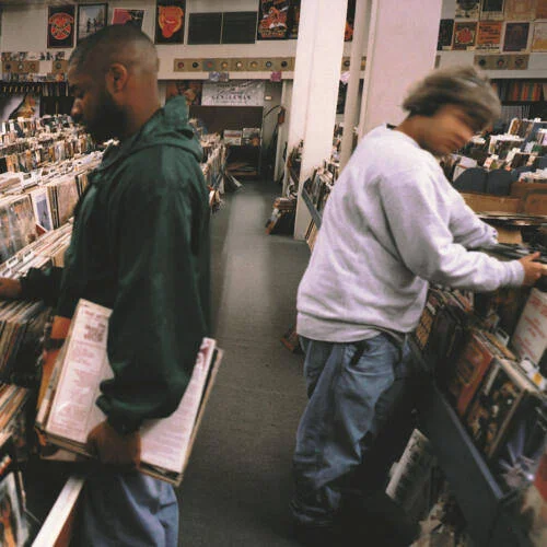 diversevinyl3129144