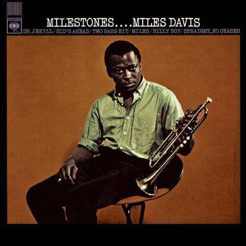 diversevinyl3162524