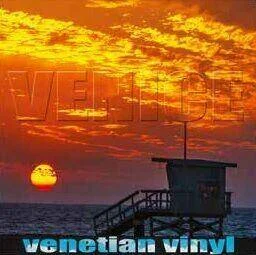 diversevinyl3170139