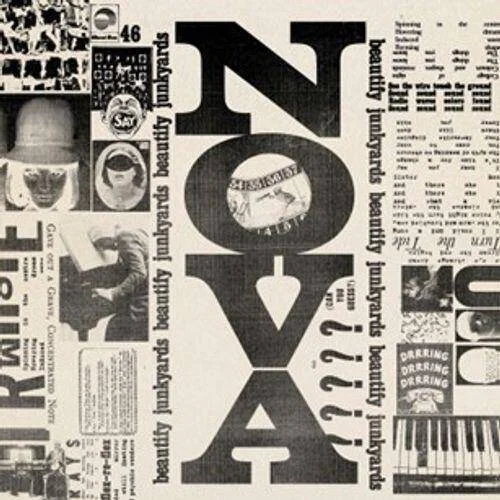 diversevinyl3184199