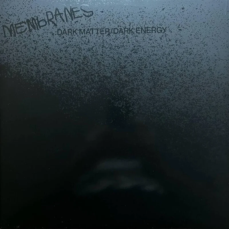 diversevinyl3193393