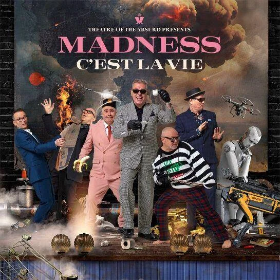 diversevinyl3217572