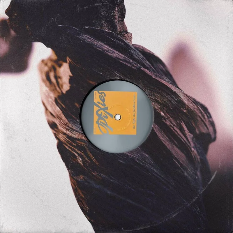 diversevinyl3242807