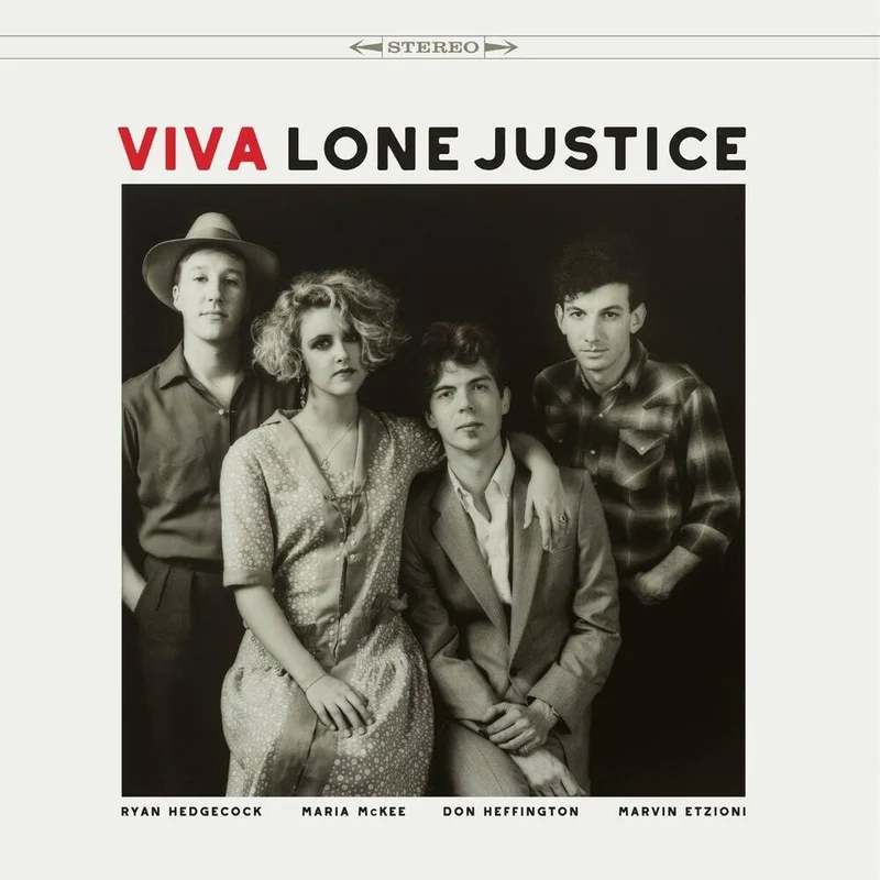 diversevinyl3243237