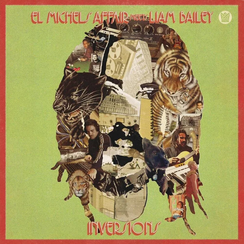 diversevinyl3282661